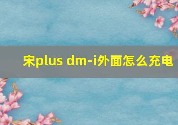 宋plus dm-i外面怎么充电